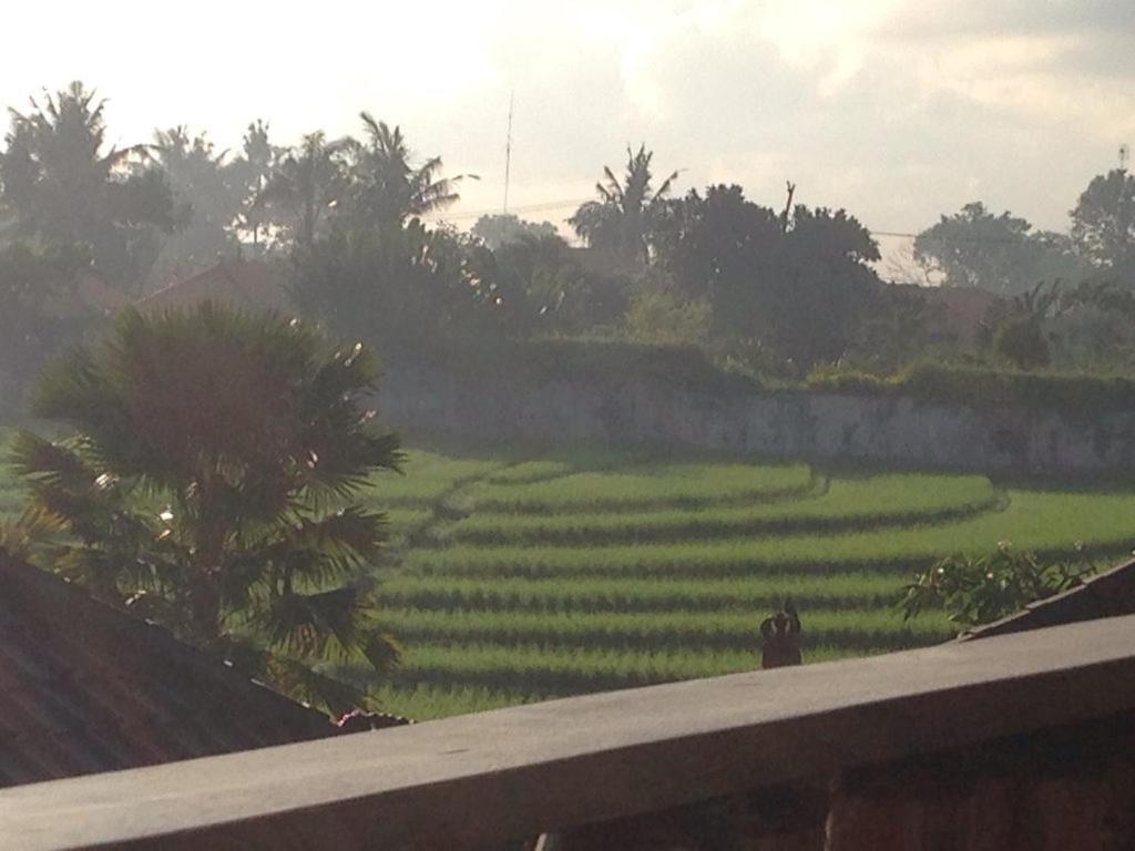 Ngeluwungan Boutique Hostel Canggu  Exterior photo